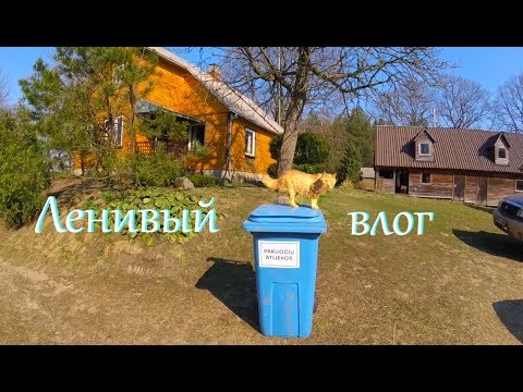 Видео: Деревенские будни. Ленивый влог. Теленок первый раз на пастбище