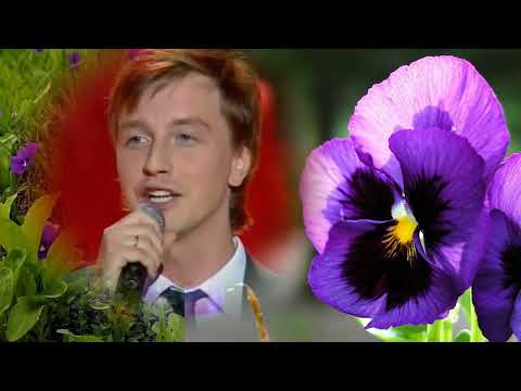 Видео: Анютины глазки.  Алексей  Гоман