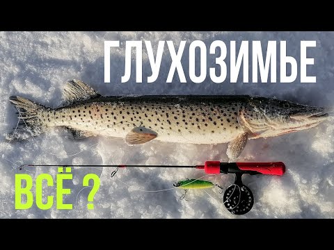 Видео: Зимние удочки TEAM DUBNA VIB SPECIAL. Глухозимье на Амуре.