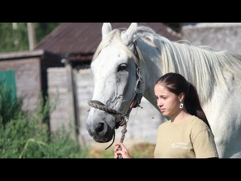 Видео: Вдруг лошадь ударит? укусит?