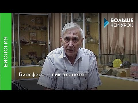 Видео: Биосфера – лик планеты