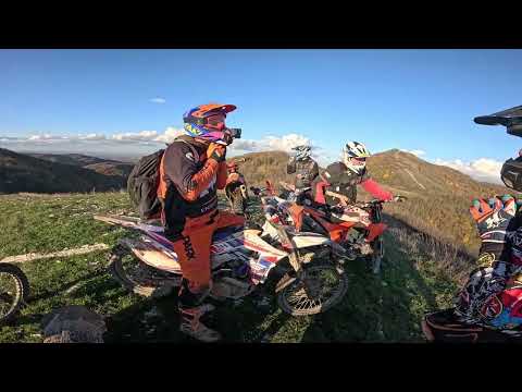 Видео: Золотая осень 26.10.25