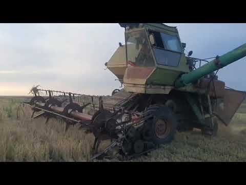 Видео: Уборка Ячменя на Комбайне Нива СК 5