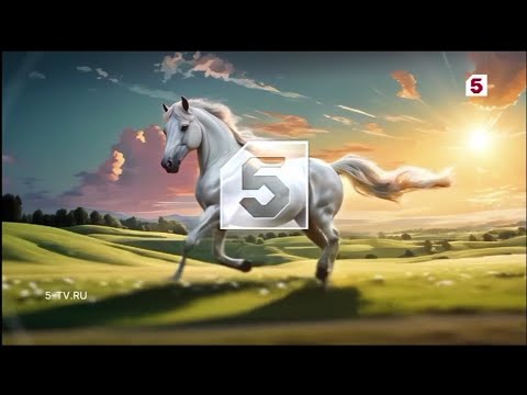 Видео: Летние заставки "Пятый канал" (26.07-09.2024)