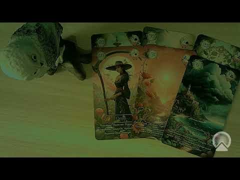 Видео: Общий посыл от Вселенского потока