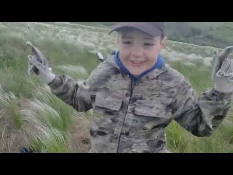 Видео: Коп по выбитым местам