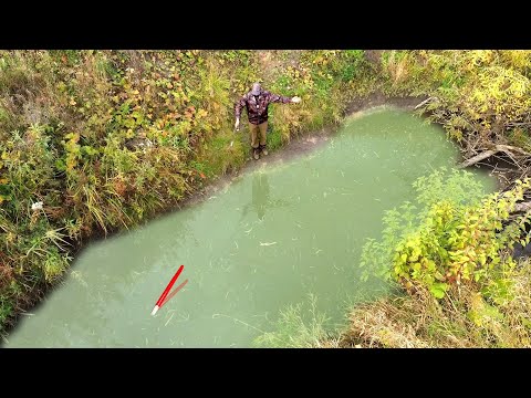 Видео: РУЧЕЙ НЕ ДЛЯ СЛАБОНЕРВНЫХ ВЫДАЁТ...КРУПНЯК в ДЕБРЯХ на ПОПЛАВОК! Рыбалка на карася 2025