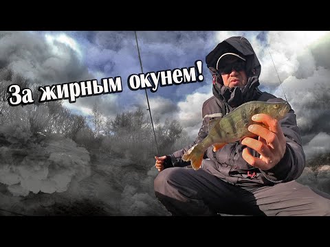 Видео: Поход! Отправился на малую речку за жирным окунем!