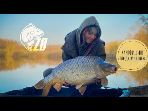 Видео: Ловля карпа по холодной воде!