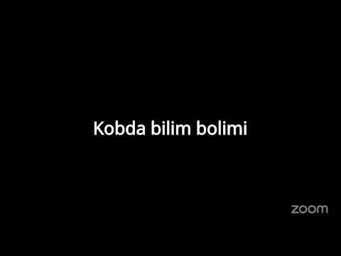 Видео: Моя конференция