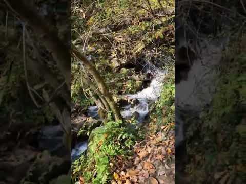 Видео: СВЯТОЙ ИСТОЧНИК. ГДЕ ТО В ГОРАХ КАВКАЗА. НОябрь 2025