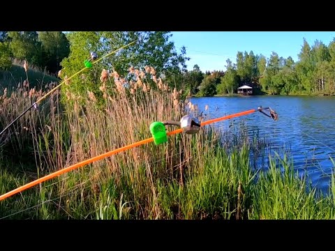 Видео: РЫБАЛКА НА КРУПНОГО КАРАСЯ. Донка с кормушкой в деле