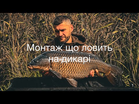 Видео: Якими монтажами і повідками користуюсь на диких водоймах
