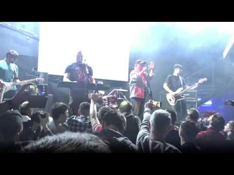 Видео: Красная Плесень 22.02.2016 - У ресторана в Ленинграде