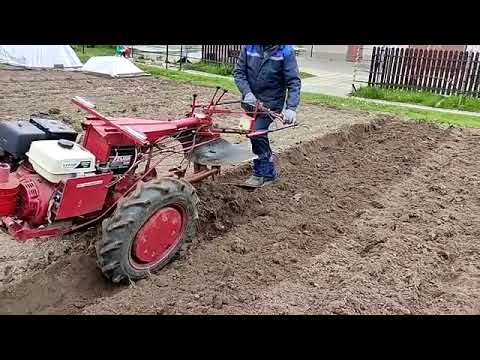 Видео: Плуг мотоблока в тонкостях. Ч.5. Испытания плуга ОП-4 - 2025.05