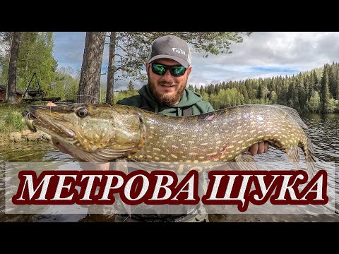 Видео: Трофейна щука на ултралайт спининг. Превъртях метъра