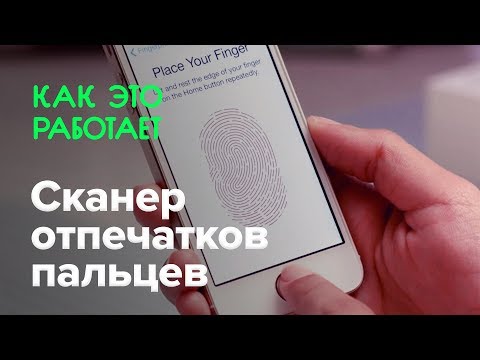 Видео: Как работает сканер отпечатков пальцев