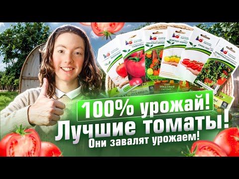 Видео: 🍅ЛУЧШИЕ Сорта и Гибриды Томатов В 2024 Году (ТОЧНО СТОИТ ПОСАДИТЬ!)