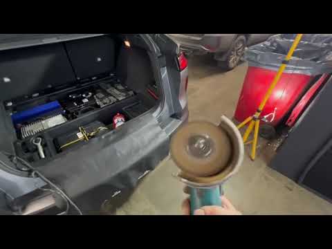 Видео: 16 декабря 2024 г.