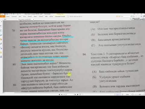 Видео: “Айчыктуу ак калпак” ЦООМО текстин иштөө