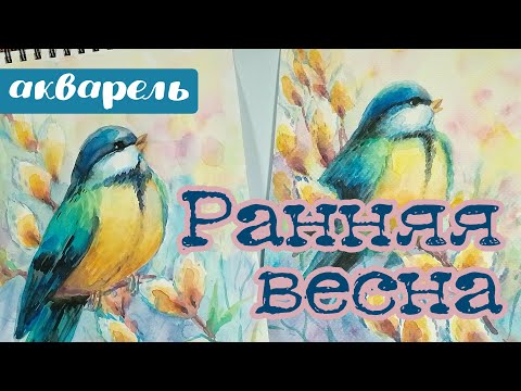 Видео: Рисуем СИНИЧКУ АКВАРЕЛЬЮ🖌️Как нарисовать ПТИЦУ поэтапно | BEAUTIFUL WATERCOLOR PAINTING