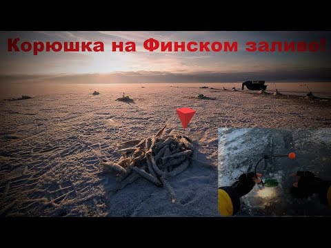 Видео: Ловля КОРЮШКИ на Финском заливе. КУРОРТ - открытие сезона 2021-2022