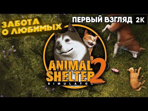 Видео: Animal Shelter 2  [2024]  Первый взгляд забота о любимых [ 2к 60ᶠᵖˢ] [rus]