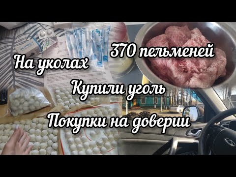 Видео: Налепила пельменей 🥟Назначили лечение 💉Пробили без оплаты 🛍️Купили уголь