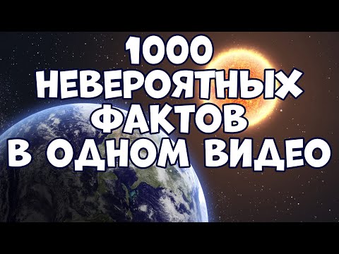 Видео: 1000 НЕВЕРОЯТНЫХ ФАКТОВ В ОДНОМ ВИДЕО