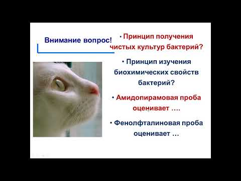 Видео: Медицинская микробиология. Стом, 1-я лекция. Лекцию читает Перьянова Ольга Владимировна