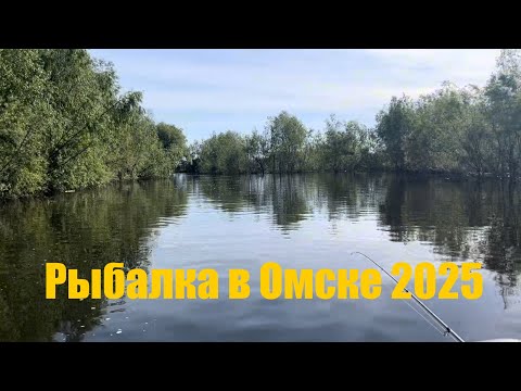 Видео: Открытие сезона по хищнику! Омская область. Июнь 2025
