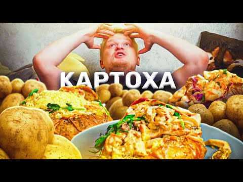 Видео: Potato papa. КАРТОХА на стероидах! Славный Обзор.