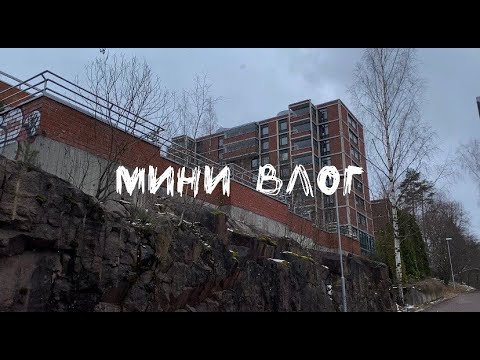 Видео: Мини влог