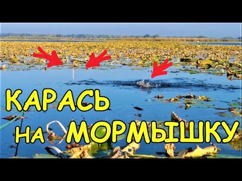 Видео: ЛОВЛЯ КАРАСЯ на МОРМЫШКУ /БАТЛ /КРЮЧОК vs МОРМЫШКА