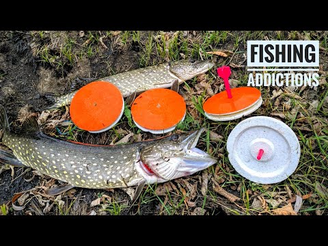 Видео: Жор щуки на кружки. Рибалка на пікер в листопаді! 