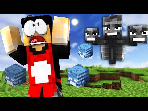 Видео: Wither BOSS ПОТРОШИ СЪРВЪРА