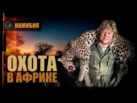 Видео: ОХОТА В АФРИКЕ | БОЛЬШАЯ АФРИКАНСКАЯ ПЯТЕРКА | НАМИБИЯ | ЛЕОПАРД | Охота с Денисом Морозовым