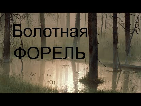 Видео: Забытые реки #18 Болотная форель