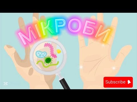 Видео: Дітям про мікроби🦠🧬Чому треба мити руки 🫧💦Досліди з милом 🧼#вихователь #граєморазом #длядітей