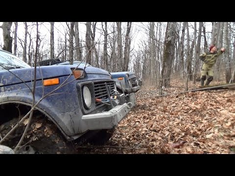 Видео: Нива джиппинг. Тест Kumho MT, гонки на лебёдках