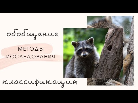 Видео: 10. Обобщение и классификация - вершина познания существенного