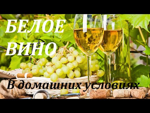 Видео: Белое Сухое ВИНО, по белой схеме. Сульфитация и ферментация на ЧКД.Цитронный Магарача.