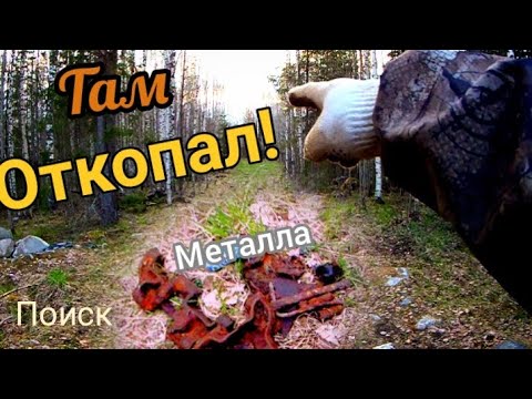 Видео: Коп металлолома у старой делянки, что можно найти за час.