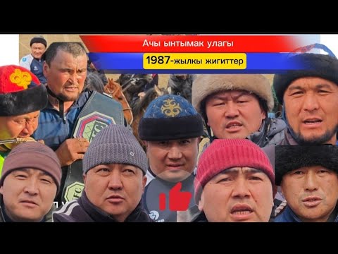Видео: Ачы ынтымагы чон денгелде улак берди