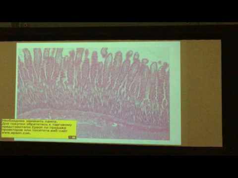 Видео: Итоговые препараты за 1 семестр