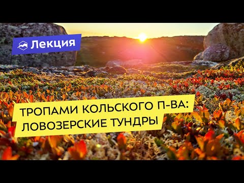 Видео: Тропами Кольского полуострова: Сейдъозеро, Ловозерские тундры