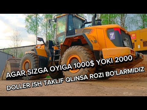 Видео: AGAR SIZGA OYIGA +79627072896 Ватсапп права учун 1000$ YOKI 2000$ DOLLERGACHA ISH Uchun