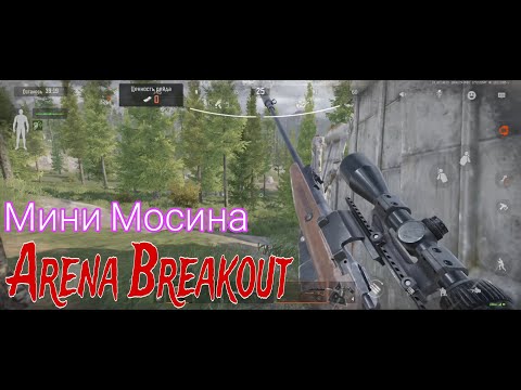 Видео: Arena Breakout - мини винтовка Мосина.