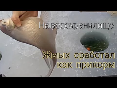 Видео: Рыбалка на водохранилище 22.01.2023. Ловля леща