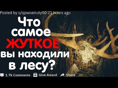 Видео: ЧТО САМОЕ ЖУТКОЕ ВЫ НАХОДИЛИ В ЛЕСУ?